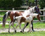 beim Musterungstermin